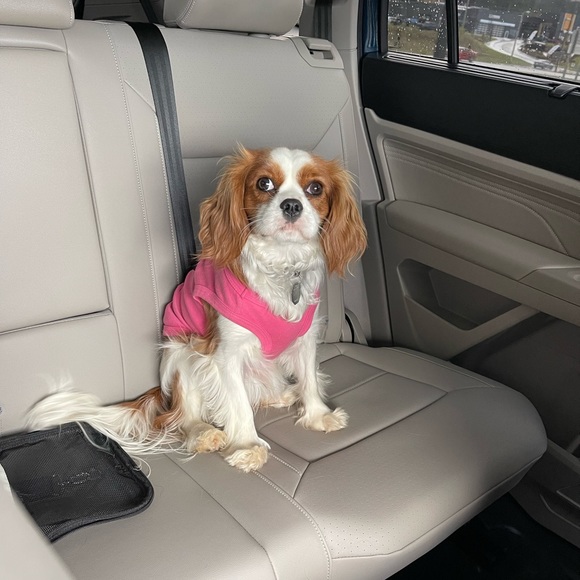 Meet your Posher, Sarah - Picture 9 of 16